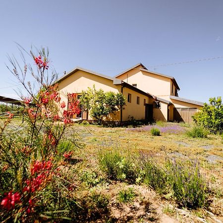 Agriturismo Bio Podere 109 - Wine&Food Alberese Εξωτερικό φωτογραφία