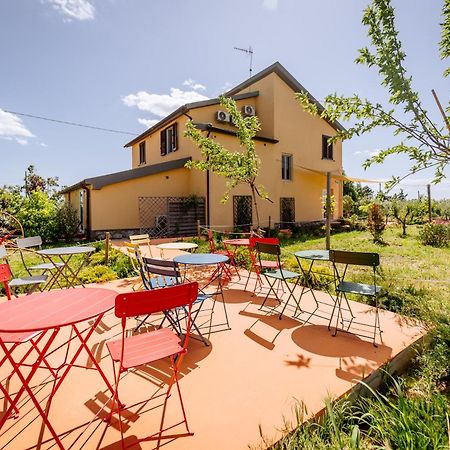 Agriturismo Bio Podere 109 - Wine&Food Alberese Εξωτερικό φωτογραφία
