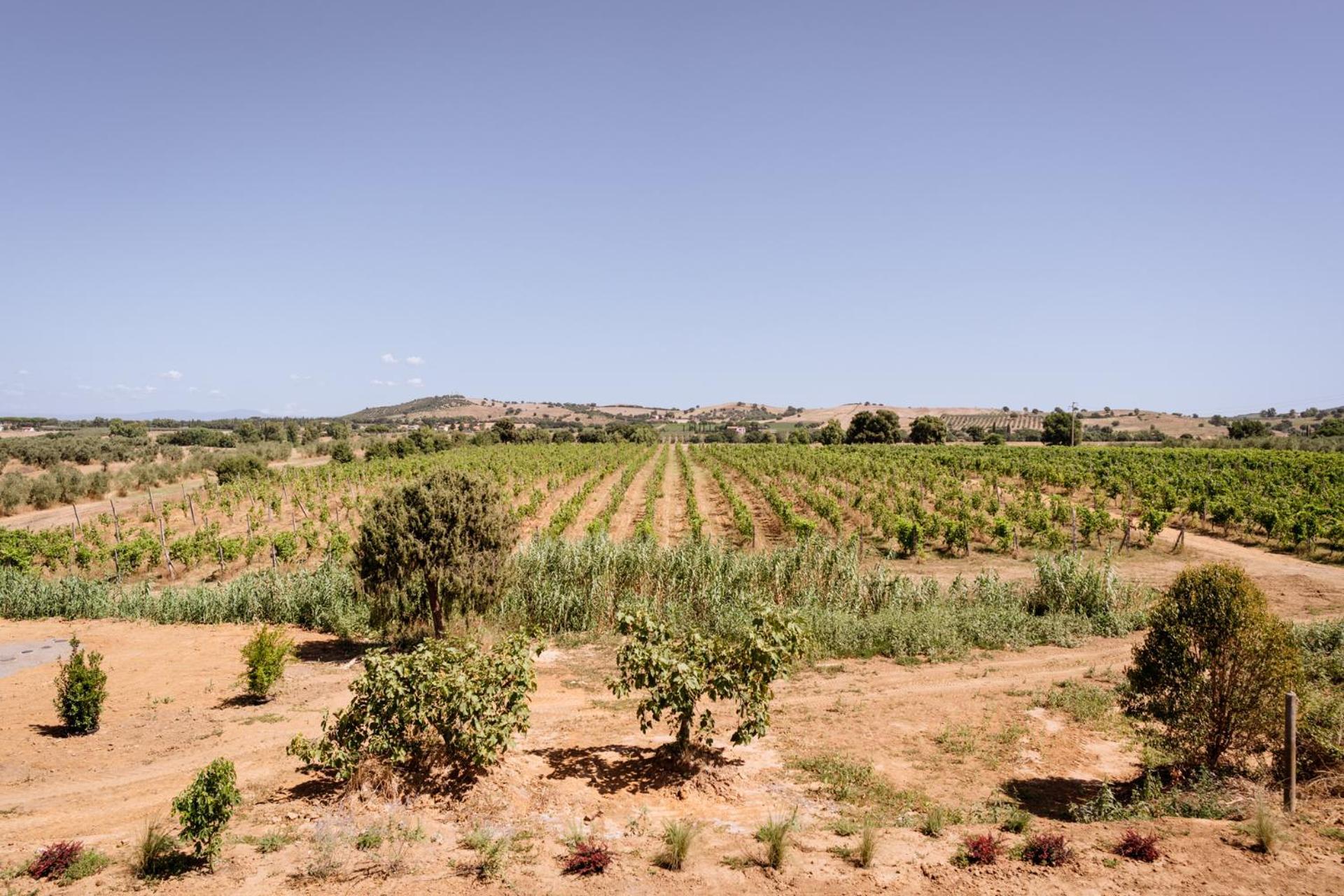 Agriturismo Bio Podere 109 - Wine&Food Alberese Εξωτερικό φωτογραφία