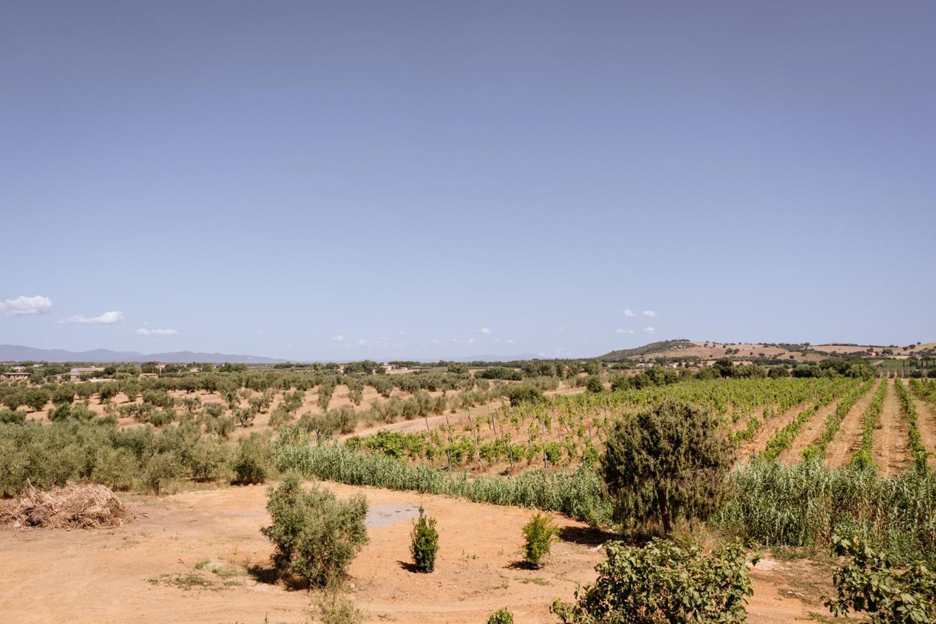 Agriturismo Bio Podere 109 - Wine&Food Alberese Εξωτερικό φωτογραφία