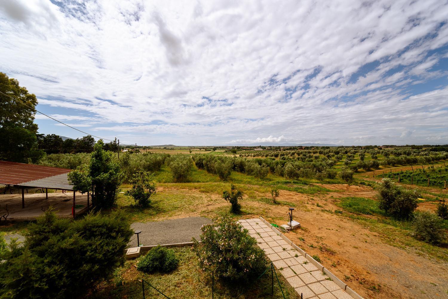 Agriturismo Bio Podere 109 - Wine&Food Alberese Εξωτερικό φωτογραφία