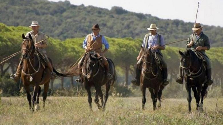 Agriturismo Bio Podere 109 - Wine&Food Alberese Εξωτερικό φωτογραφία