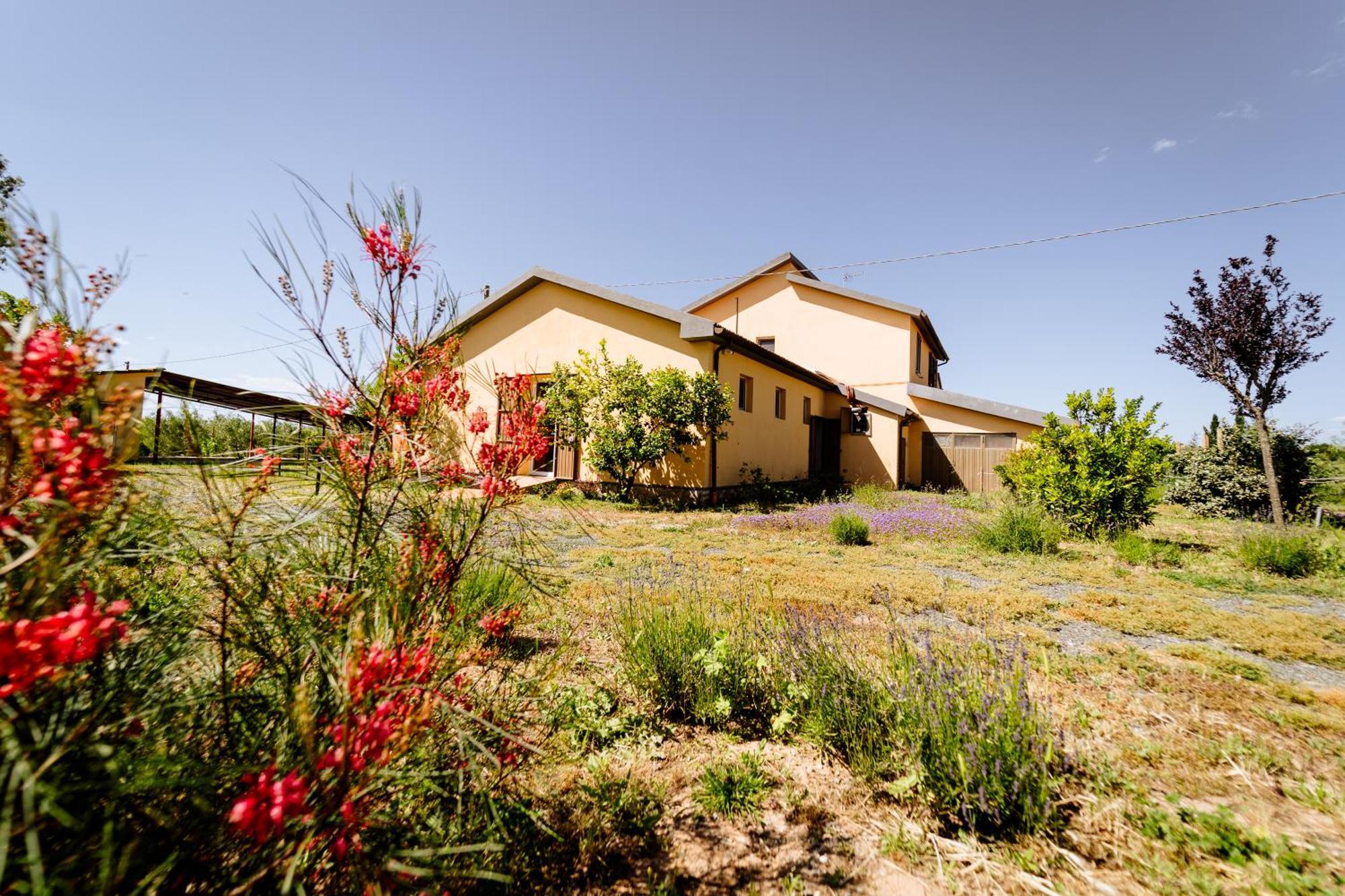 Agriturismo Bio Podere 109 - Wine&Food Alberese Εξωτερικό φωτογραφία
